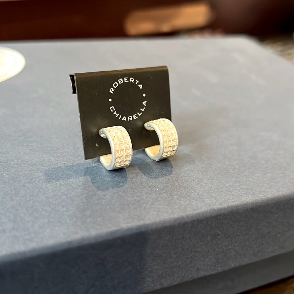 Roberta Chiarella earrings